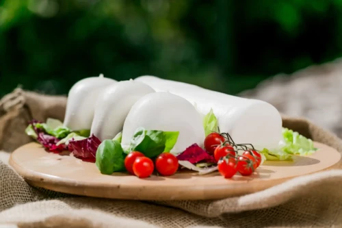 MOZZARELLA FIOR DI LATTE SURGELATA “LA SPECIALE for pizza” VASCHETTA TERMOSALDATA 125g_hero
