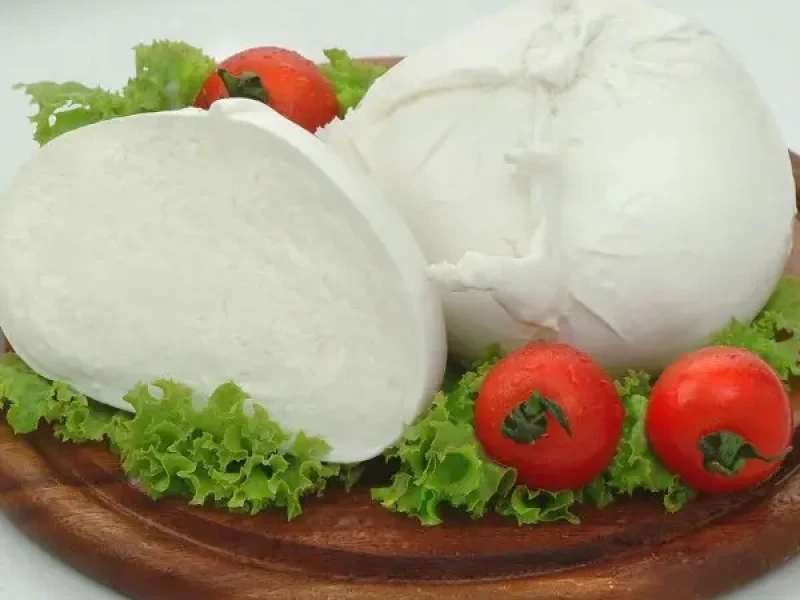 MOZZARELLA DI LATTE DI BUFALA SURGELATA BUSTA 250g_1