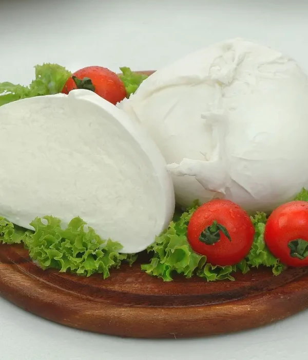 MOZZARELLA DI LATTE DI BUFALA SURGELATA BUSTA 250g_hero
