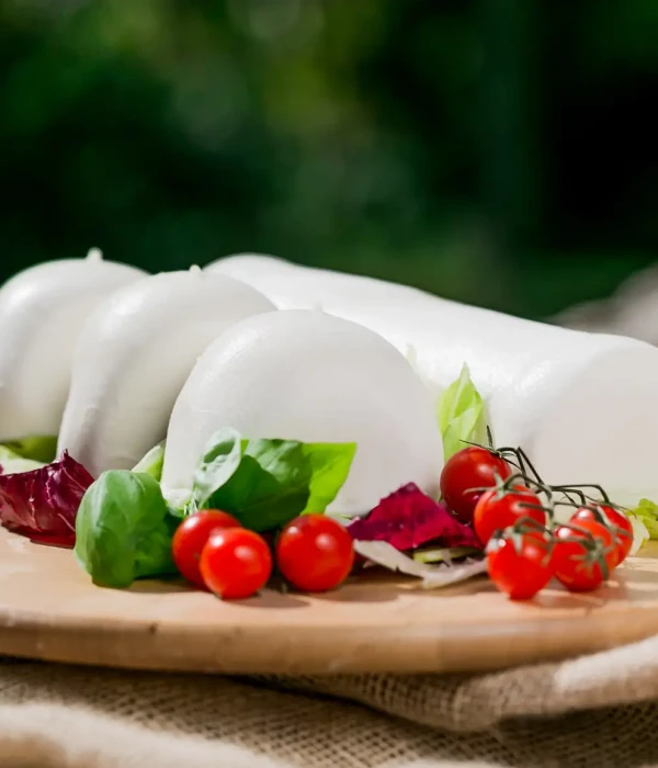 MOZZARELLA FIOR DI LATTE SURGELATA “LA SPECIALE for pizza” VASCHETTA TERMOSALDATA 125g_hero