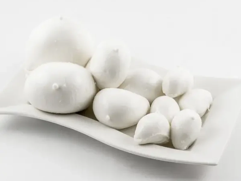 MOZZARELLA FIOR DI LATTE SURGELATA NELLA VASCHETTA TERMOSALDATA 200-250g_2
