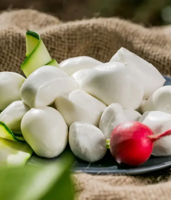 MOZZARELLA FIOR DI LATTE SURGELATA NELLA VASCHETTA TERMOSALDATA 200-250g_hero