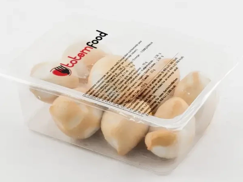 SPIZZICO DI SCAMORZA AFFUMICATA SURGELATA_2